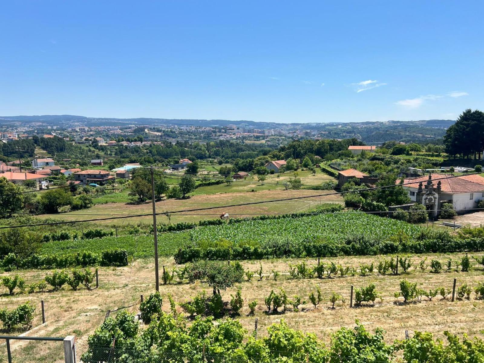 Vila Casa Machado Vila Real Exteriér fotografie